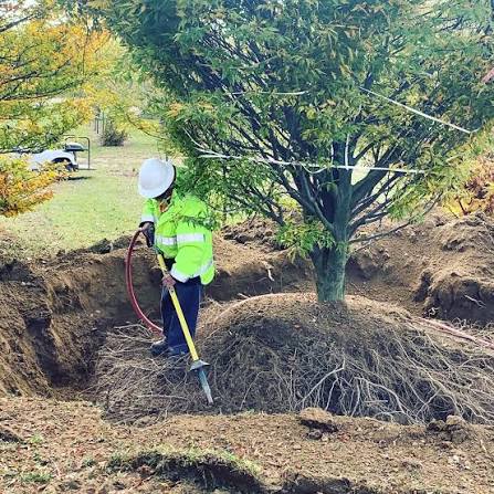 Compressed Air for Air Excavation: What Arborists and Utility Locators Actually Need