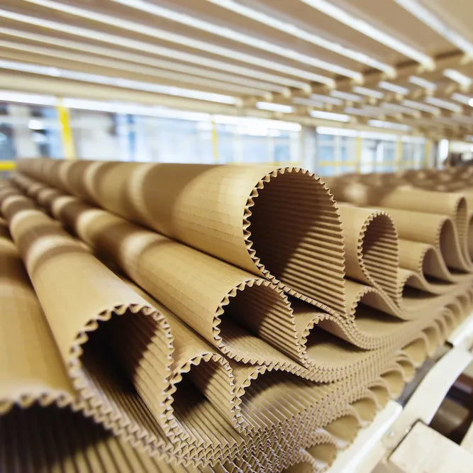 Condensate Management in a Corrugated Packaging Plant: Where the Water Comes From and Where It Goes