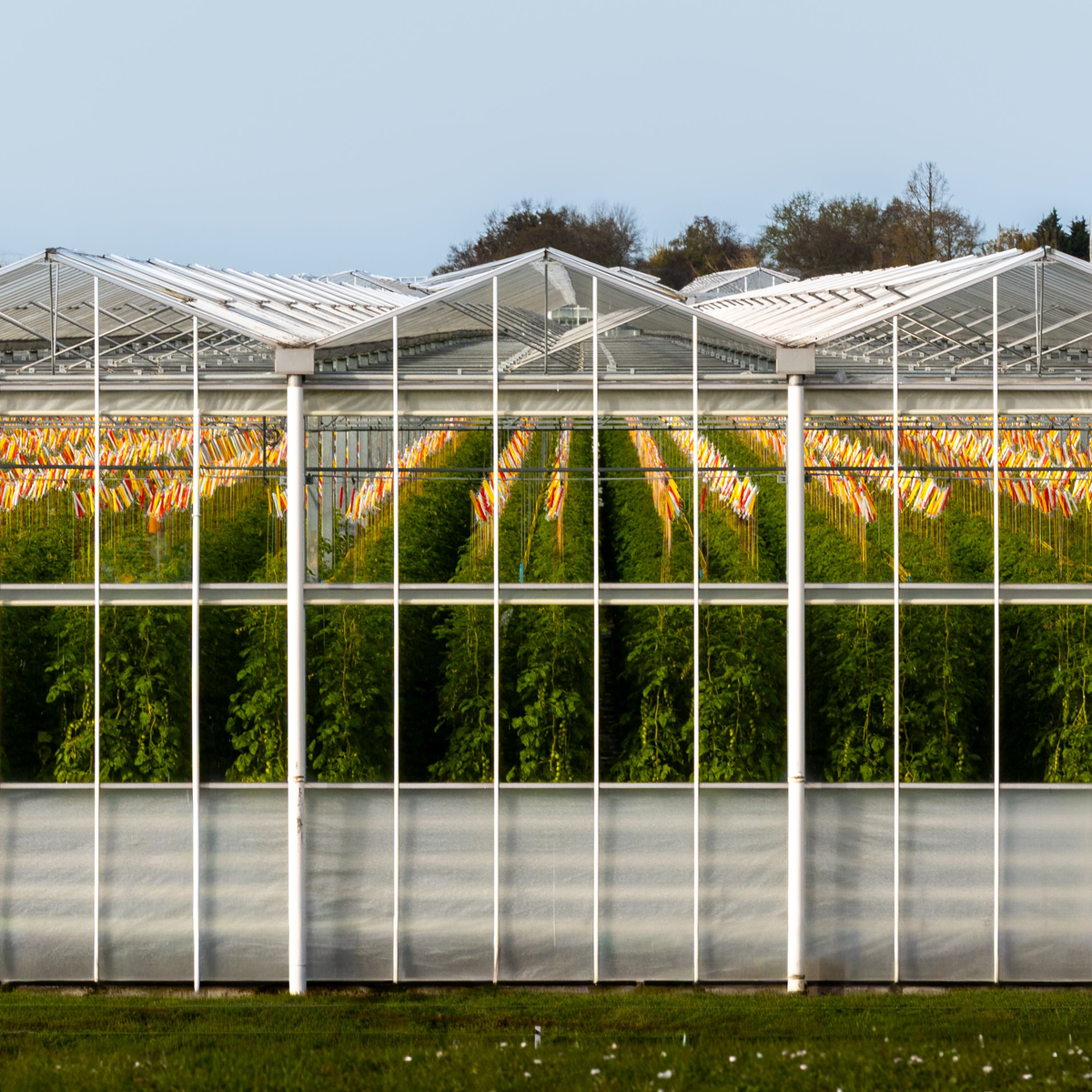 Compressed Air for Greenhouses and Nurseries: A Small System That Has to Be Reliable