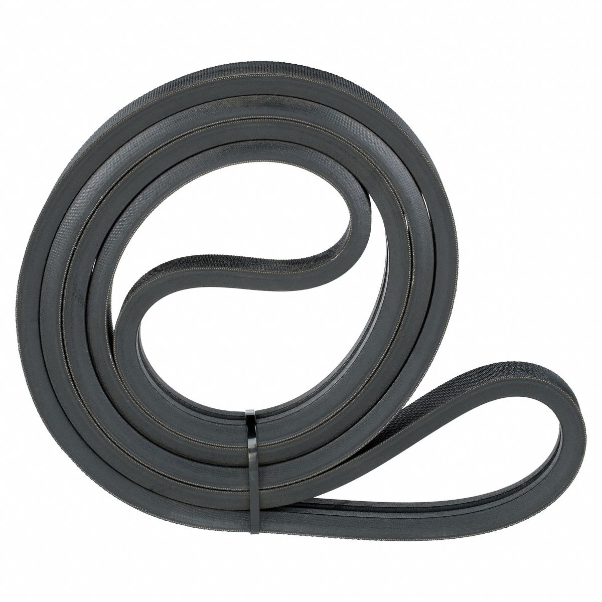 Two-band banded V-belt, A/4L section — coiled, showing the tie band joining two A-section strands