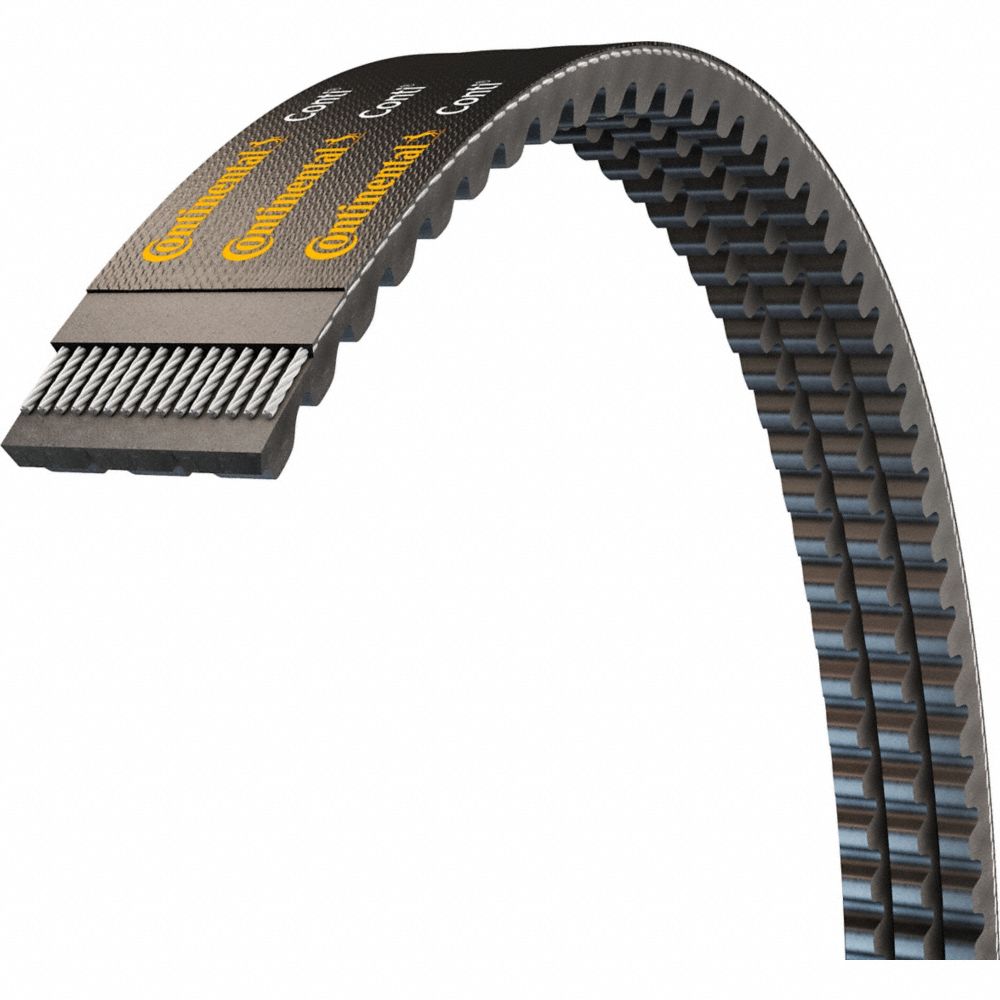 Two-band 5VX banded cogged (notched) wedge V-belt on white background