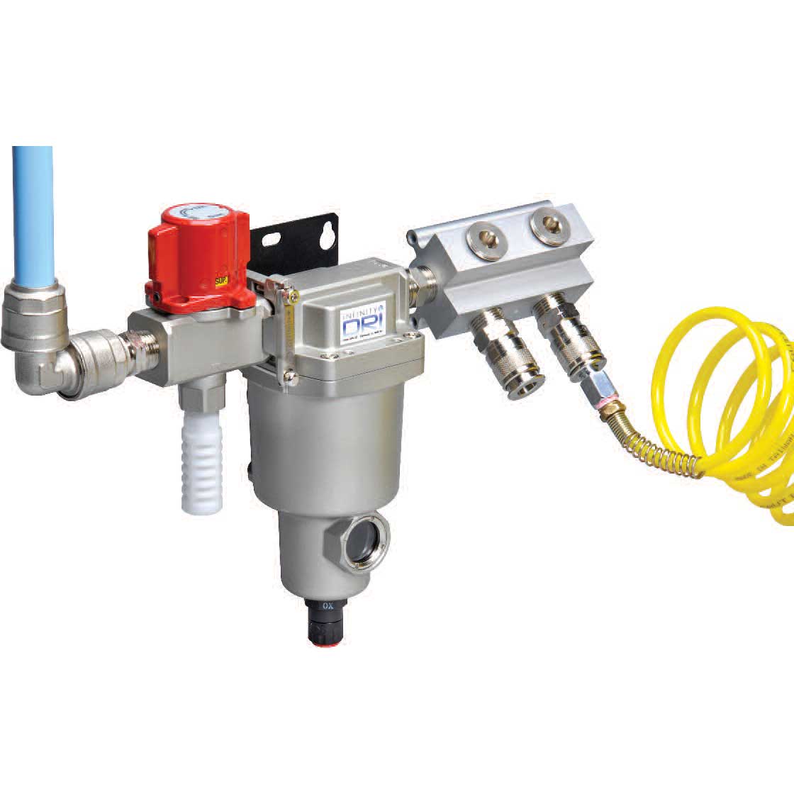 Champion DRI complete point-of-use solution with water remover, red lockable exhausting valve and four-port aluminum manifold