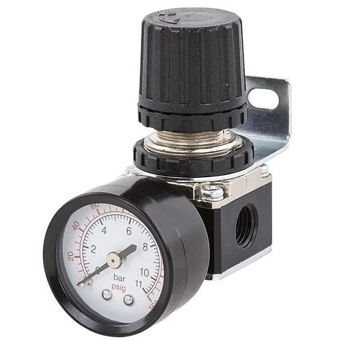 Mini Air Pressure Regulator - 2000 Series