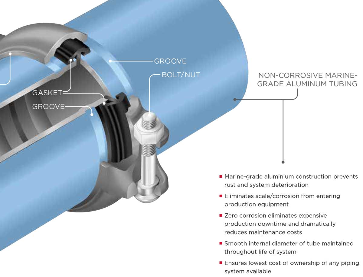Champion Big-Lock grooved coupling cutaway showing the groove, gasket and bolt