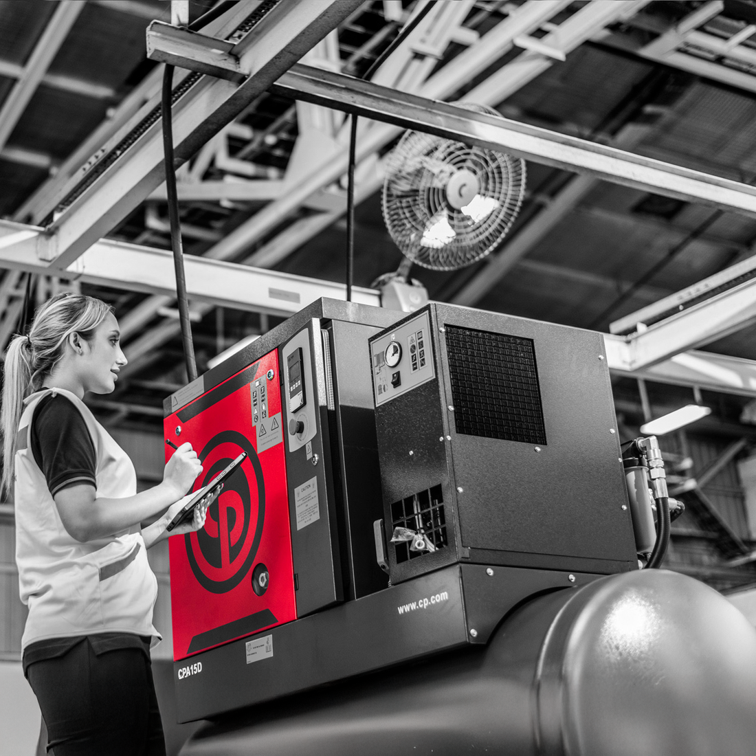 Warthog Air Compressor Store